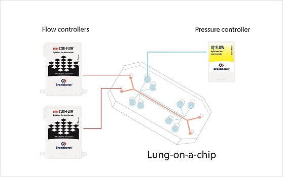 用于芯片上肺應(yīng)用的流量和壓力控制器的示意性連接